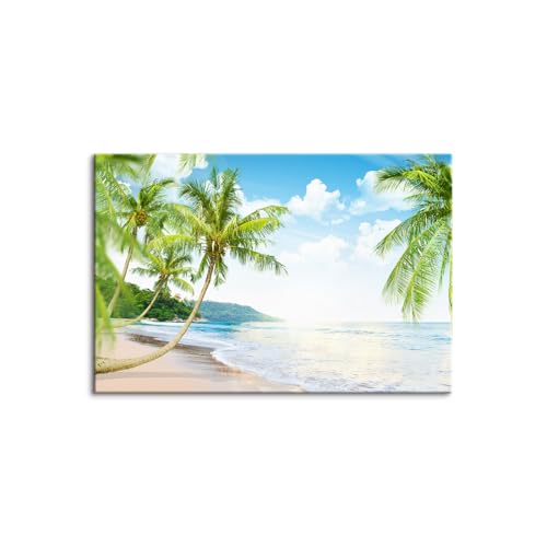 椰子の木」の人気商品一覧 | 安い商品を通販サイトから探す - 価格.com